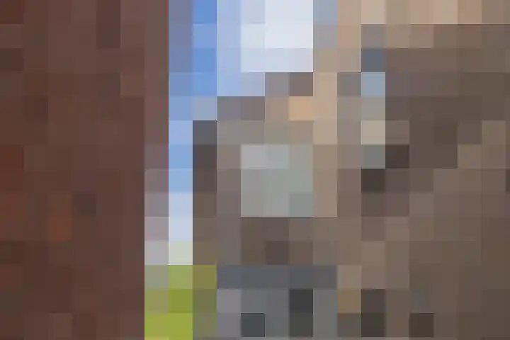 Dorpsstraat 20 c Warmond thumbnail 28