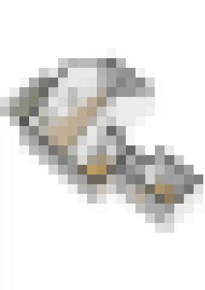 Dorpsstraat 20 c Warmond thumbnail 34