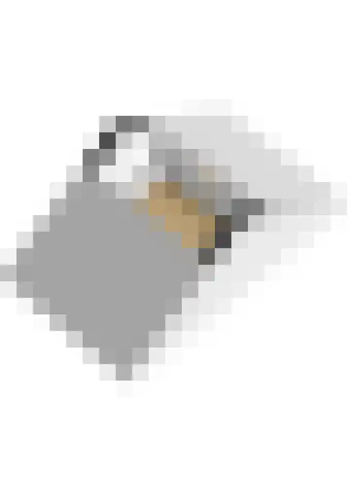Dorpsstraat 20 c Warmond thumbnail 36