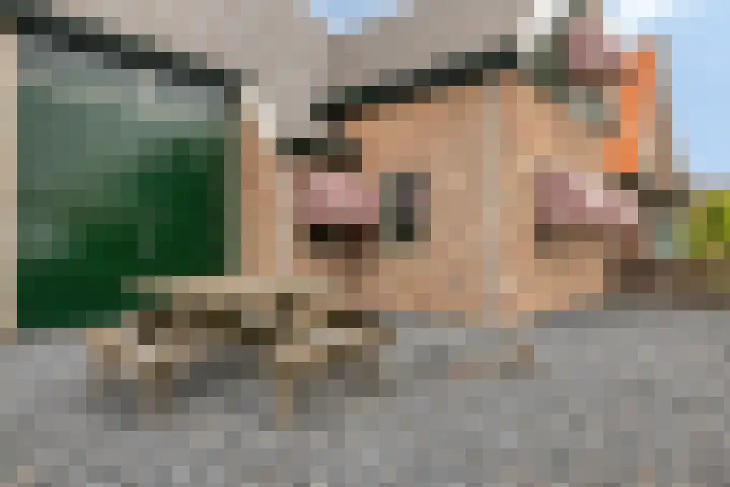 Dorpsstraat 20 Dirkshorn thumbnail 13
