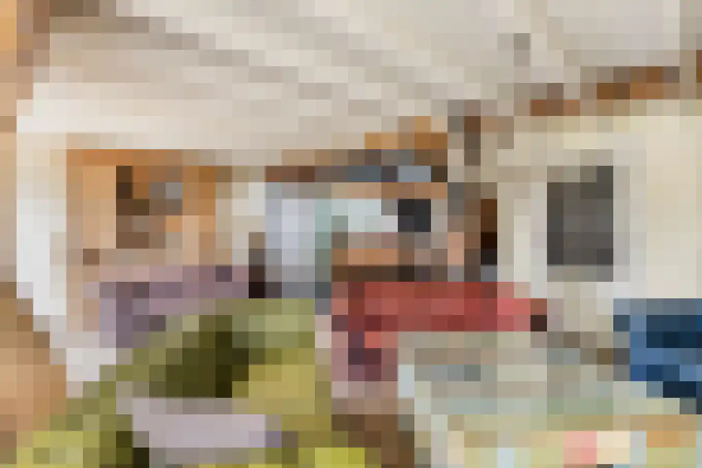 Dorpsstraat 20 Dirkshorn thumbnail 16
