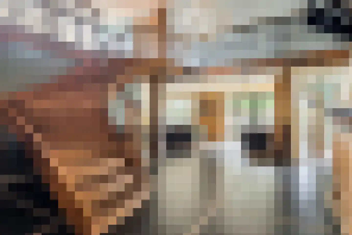 Dorpsstraat 20 Dirkshorn thumbnail 17