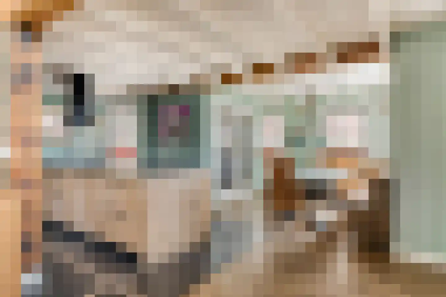 Dorpsstraat 20 Dirkshorn thumbnail 19