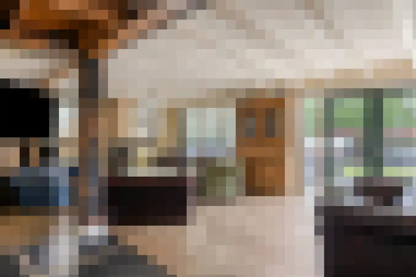 Dorpsstraat 20 Dirkshorn thumbnail 20
