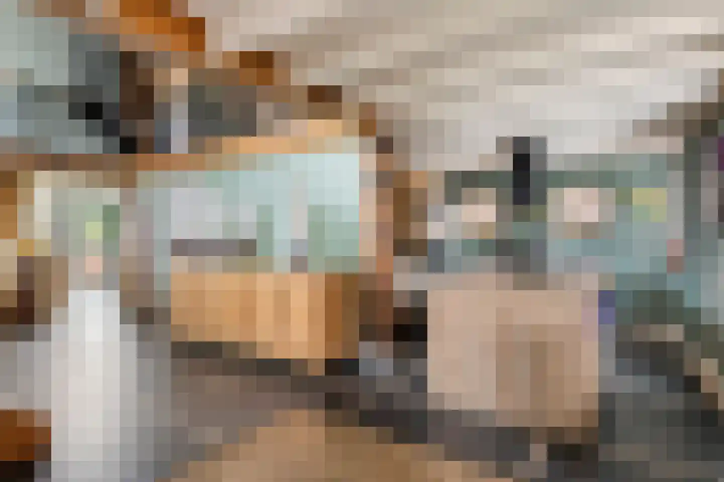 Dorpsstraat 20 Dirkshorn thumbnail 23