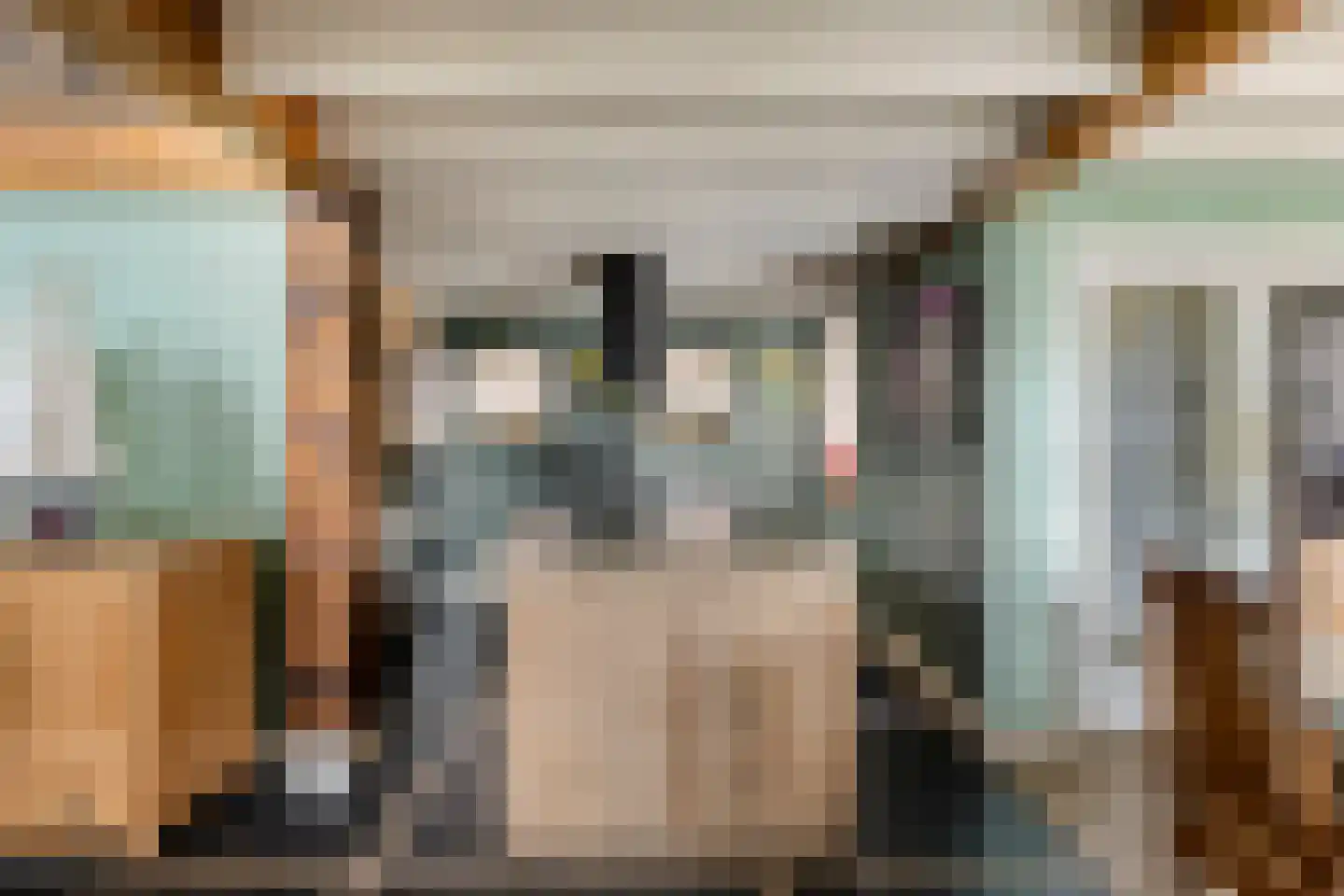 Dorpsstraat 20 Dirkshorn thumbnail 24