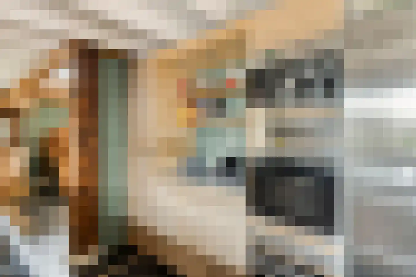 Dorpsstraat 20 Dirkshorn thumbnail 25