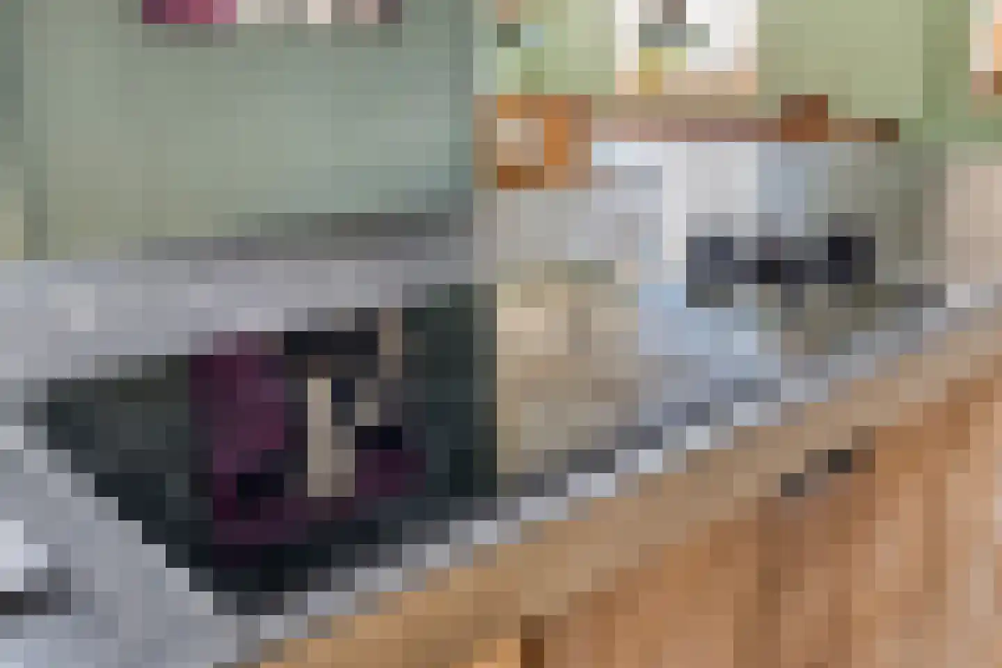 Dorpsstraat 20 Dirkshorn thumbnail 27