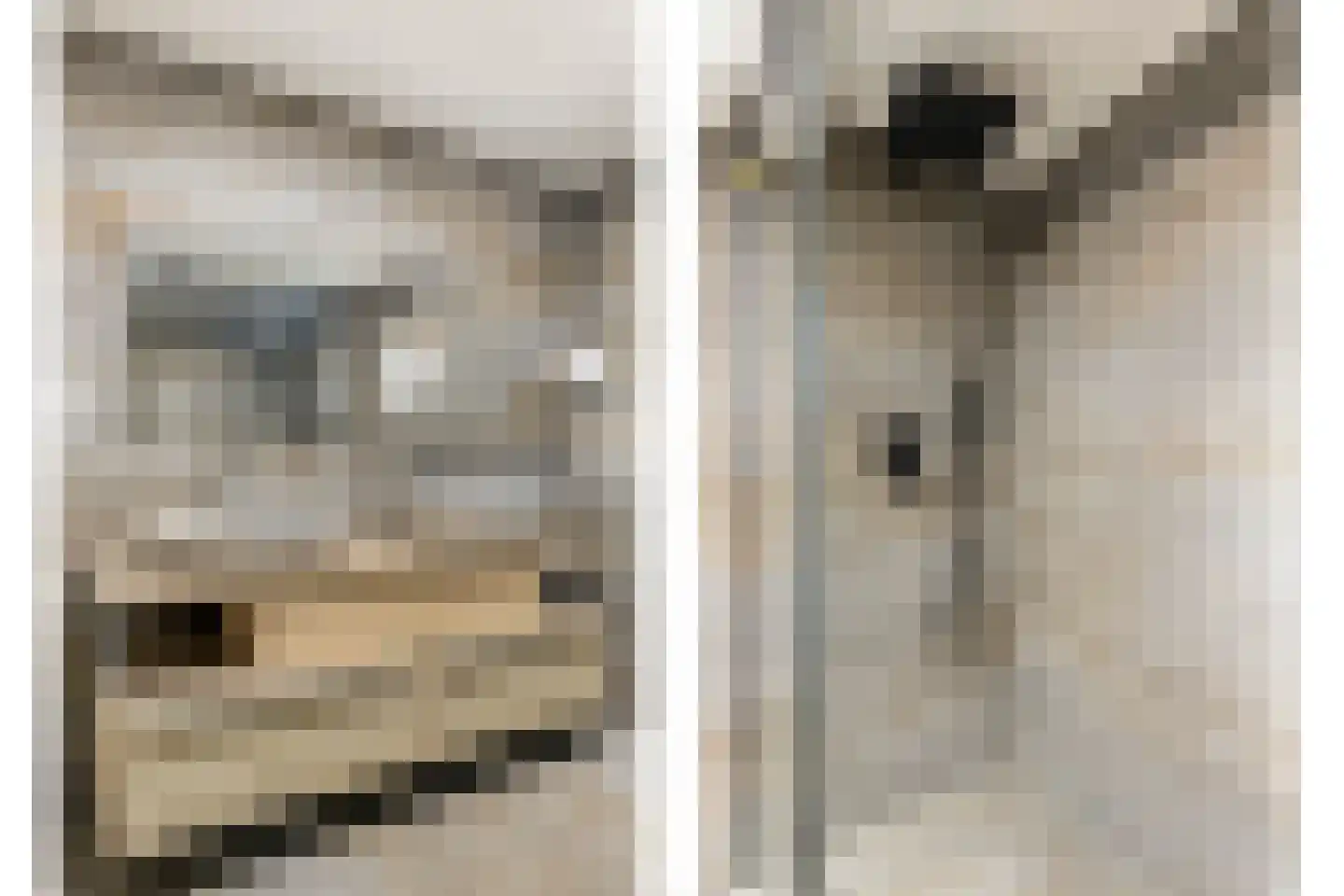Dorpsstraat 20 Dirkshorn thumbnail 30