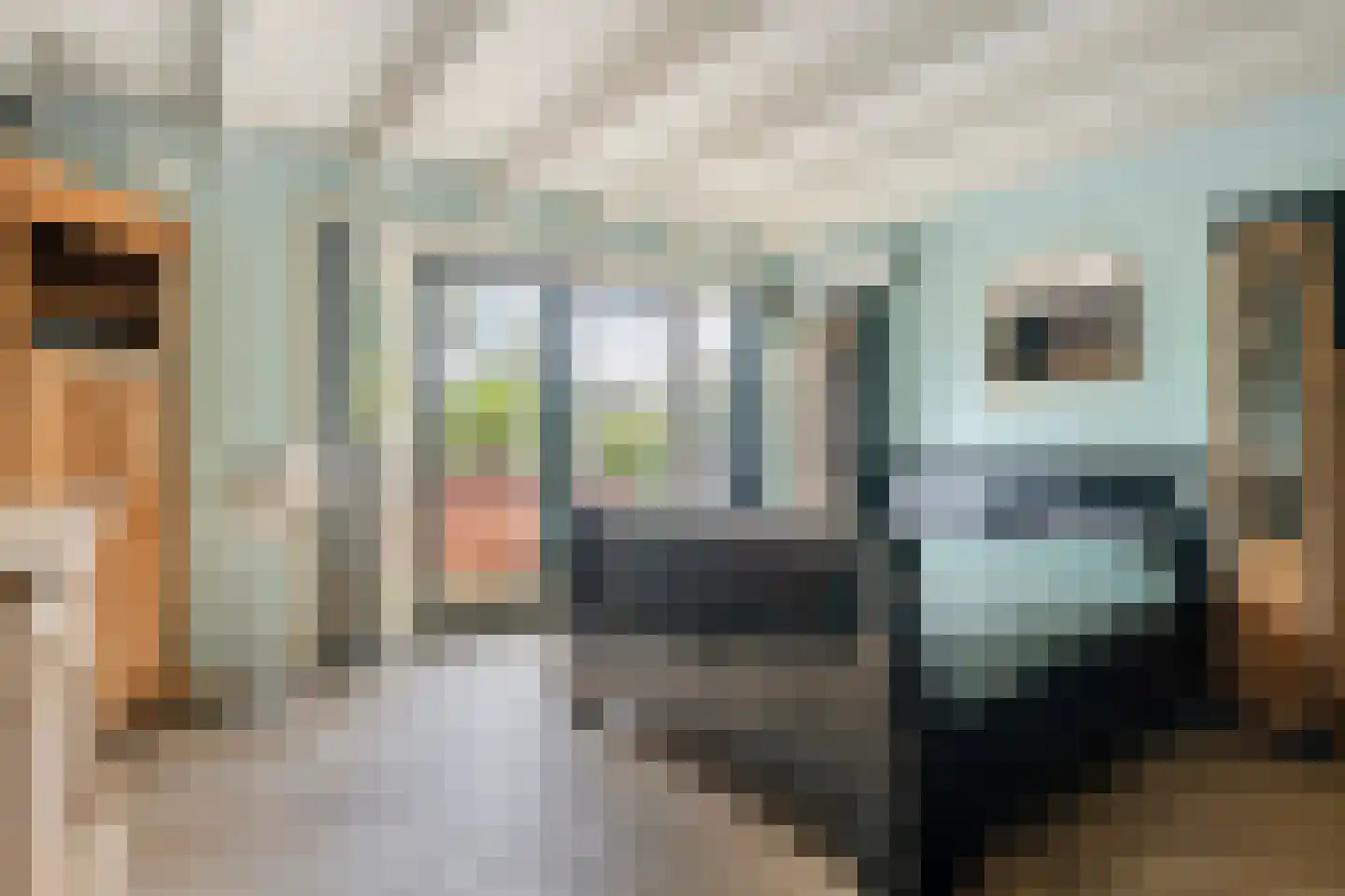 Dorpsstraat 20 Dirkshorn thumbnail 31