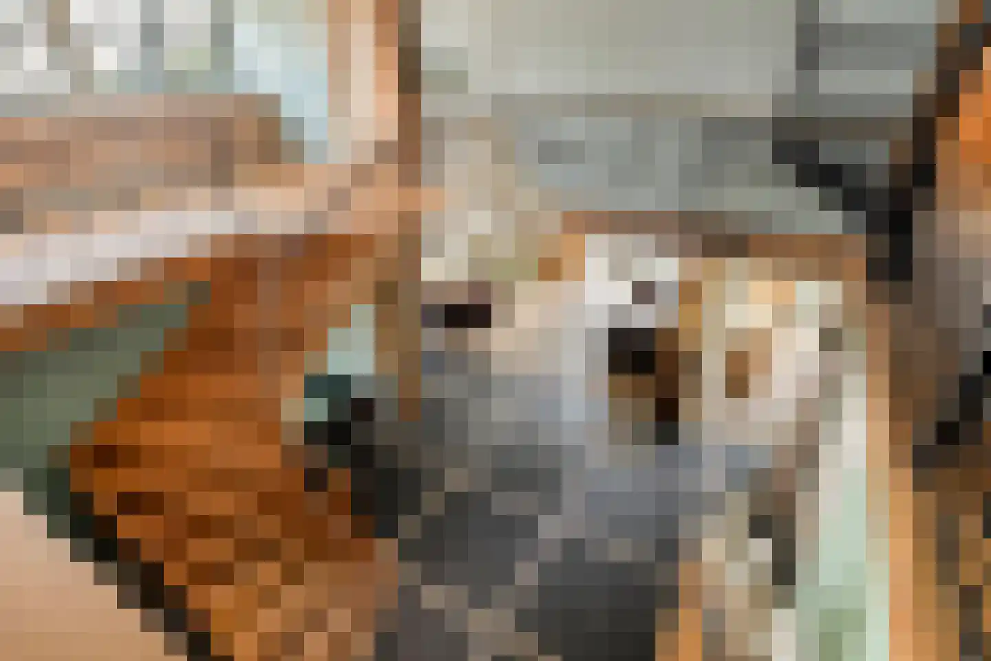 Dorpsstraat 20 Dirkshorn thumbnail 35