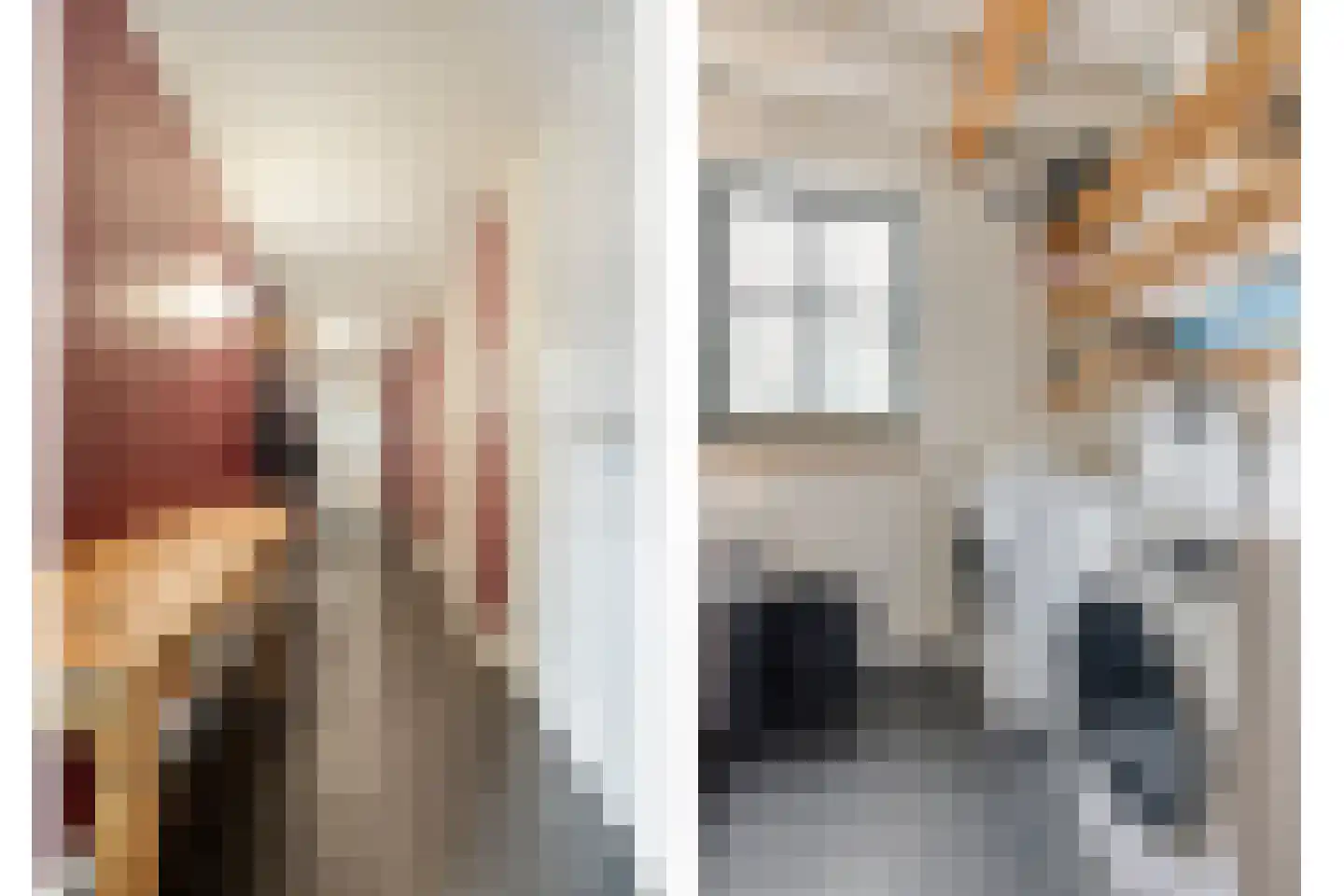Dorpsstraat 20 Dirkshorn thumbnail 36