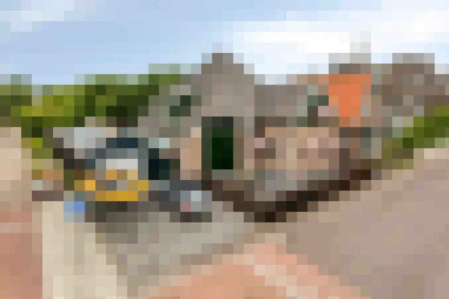Dorpsstraat 20 Dirkshorn thumbnail 4