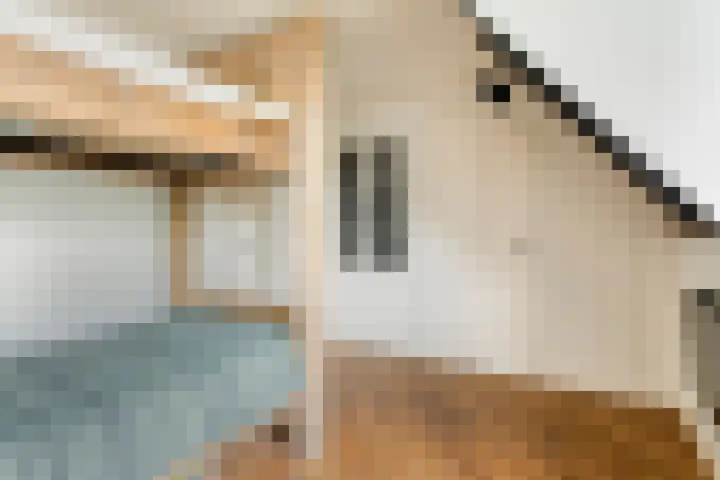 Dorpsstraat 20 Dirkshorn thumbnail 44
