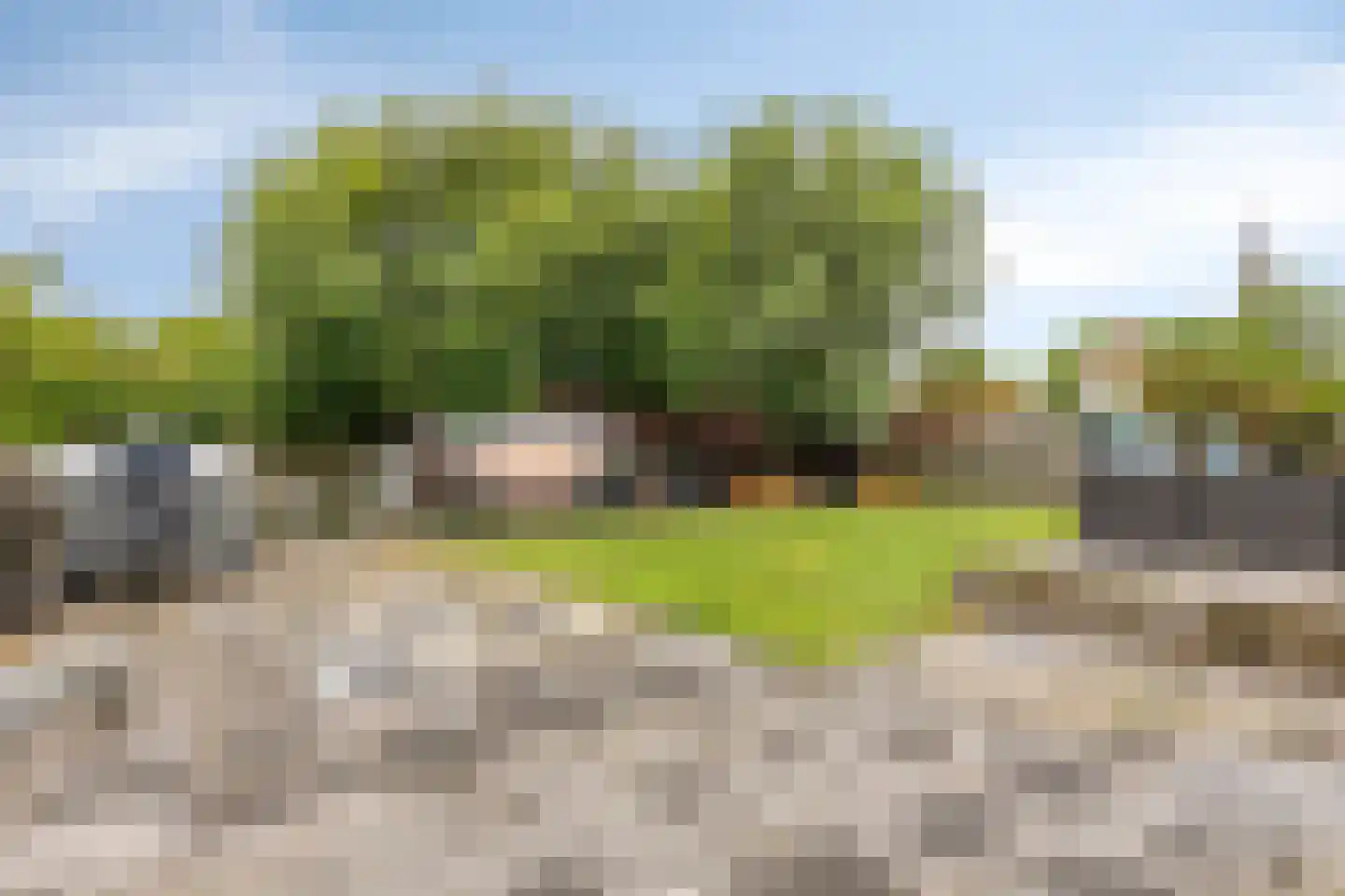 Dorpsstraat 20 Dirkshorn thumbnail 51