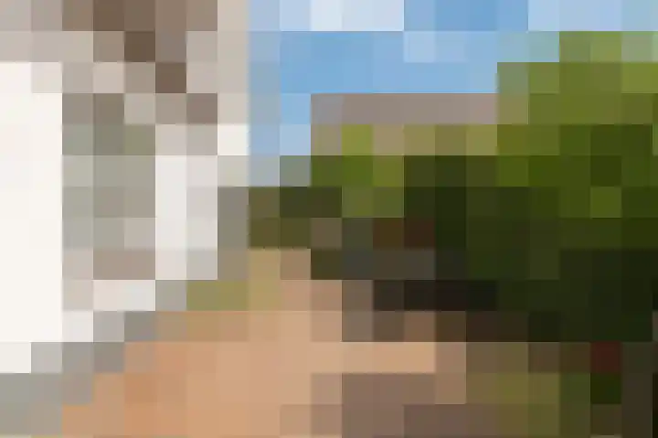 Dorpsstraat 20 Enspijk thumbnail 5