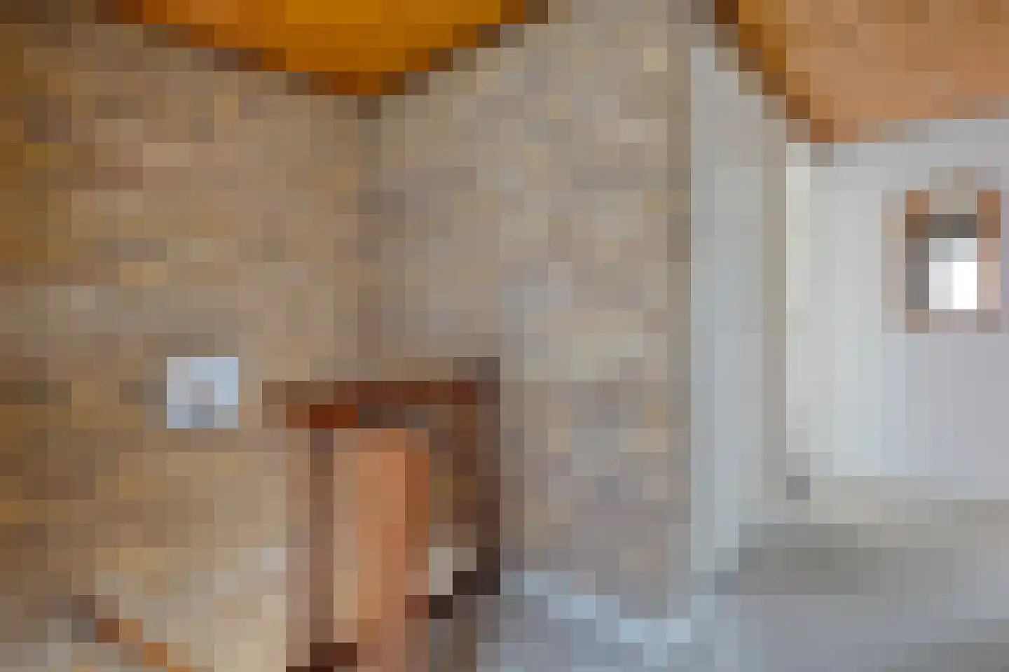 Dorpsstraat 20 Geesteren thumbnail 12