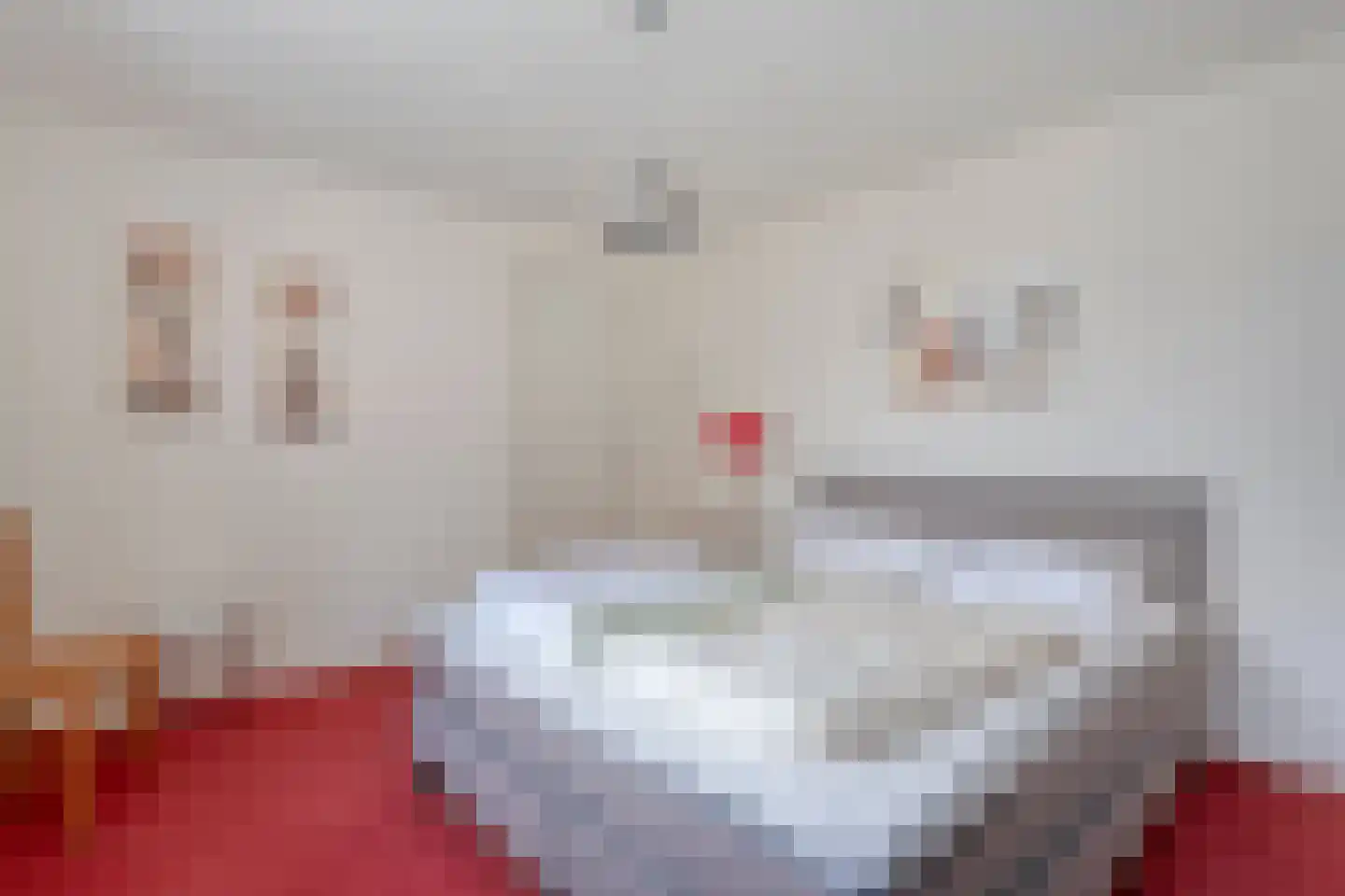 Dorpsstraat 20 Geesteren thumbnail 13