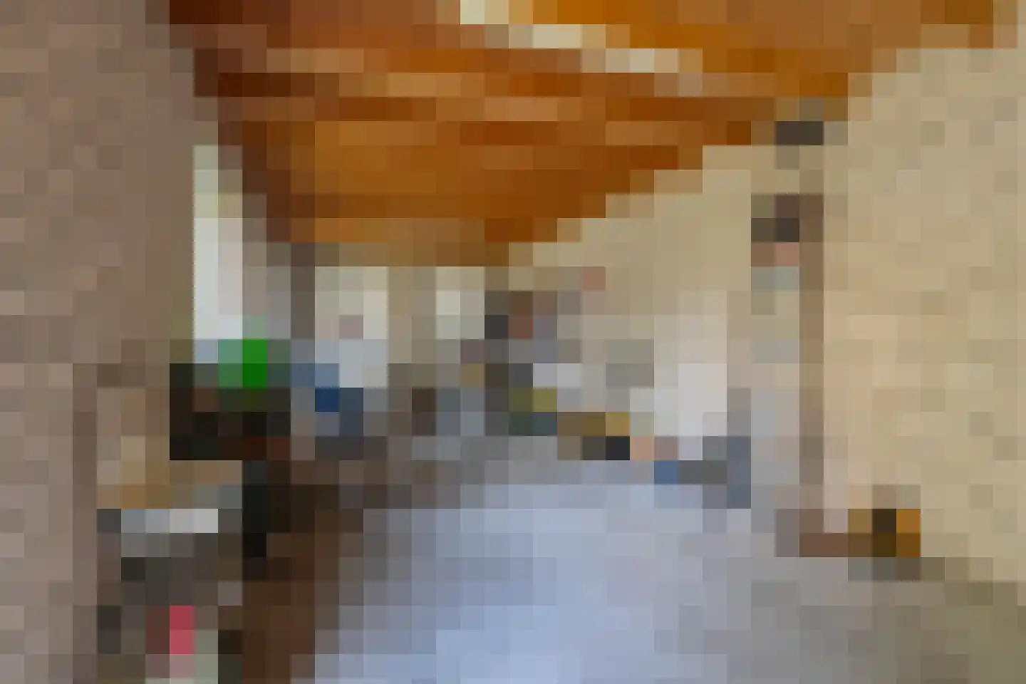 Dorpsstraat 20 Geesteren thumbnail 22