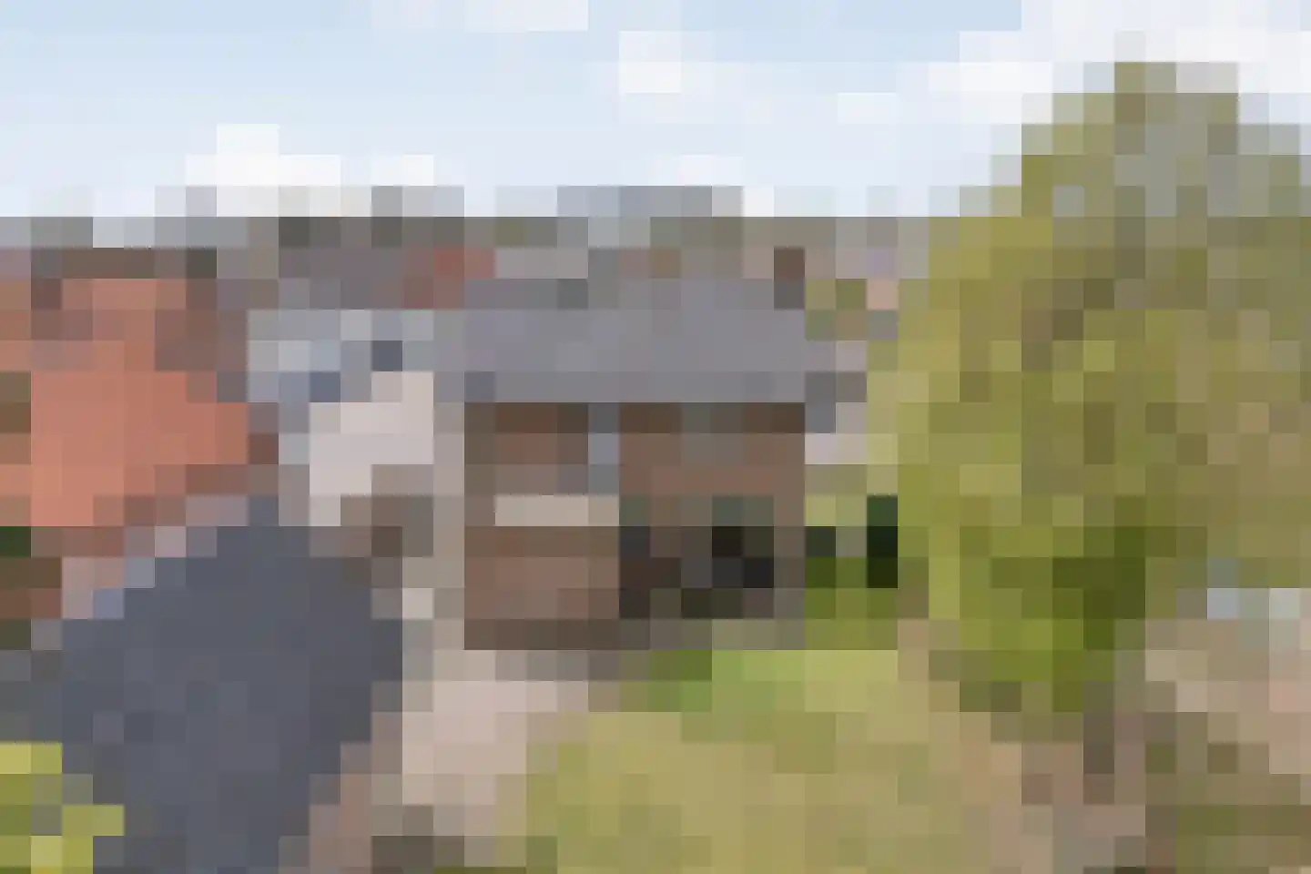 Dorpsstraat 20 Geesteren thumbnail 25