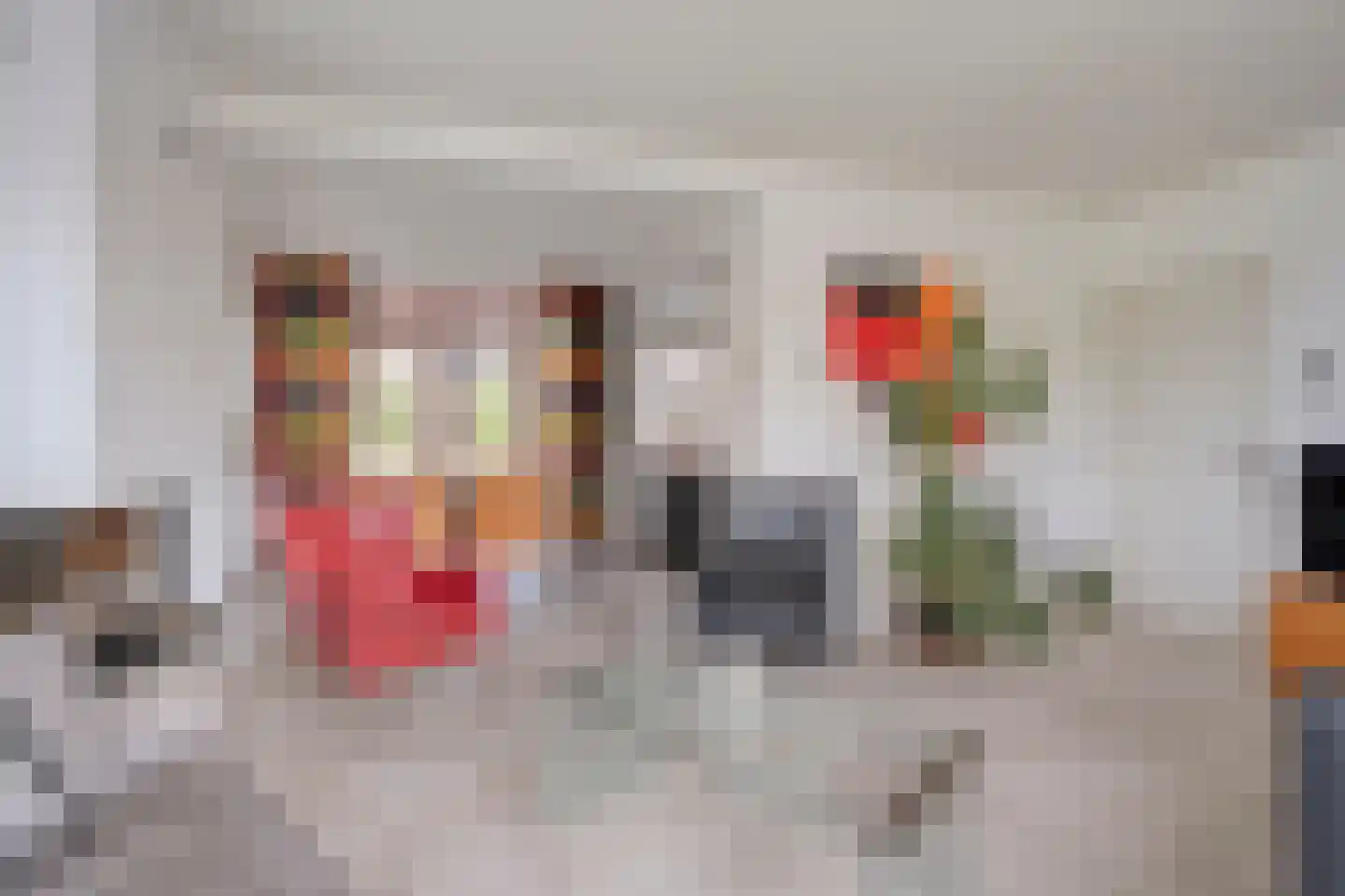 Dorpsstraat 20 Geesteren thumbnail 7