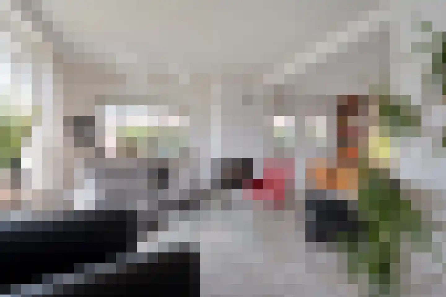 Dorpsstraat 20 Geesteren thumbnail 8