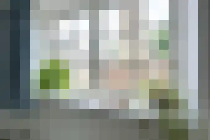 Dorpsstraat 20 Hagestein thumbnail 40
