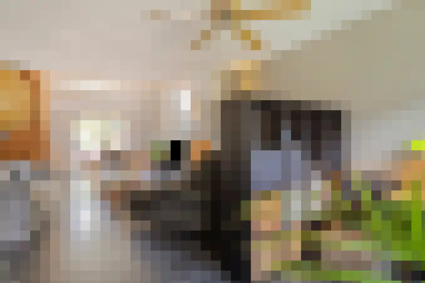 Dorpsstraat 20 Heel thumbnail 10