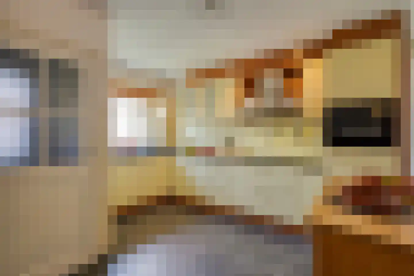 Dorpsstraat 20 Heel thumbnail 11