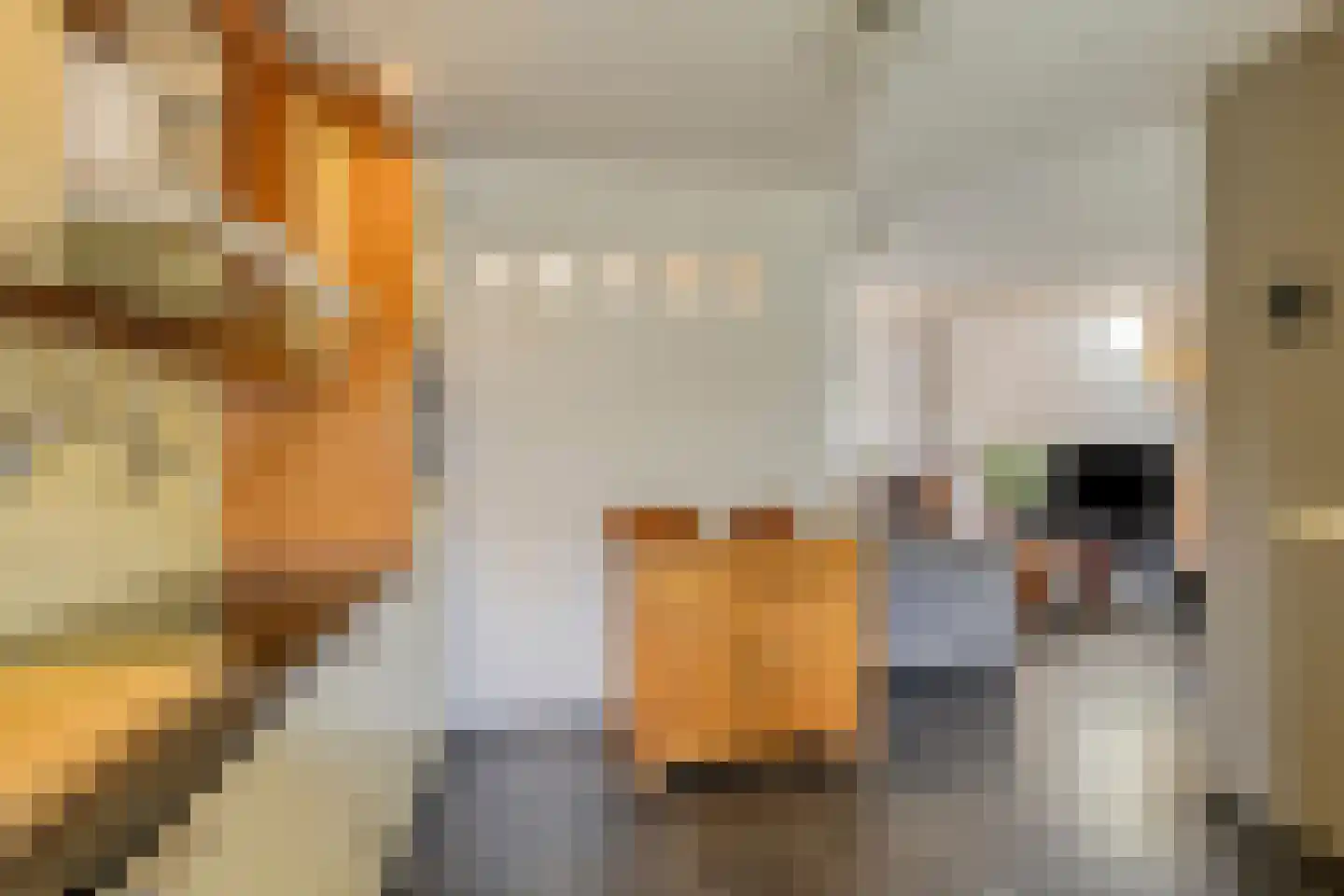 Dorpsstraat 20 Heel thumbnail 13