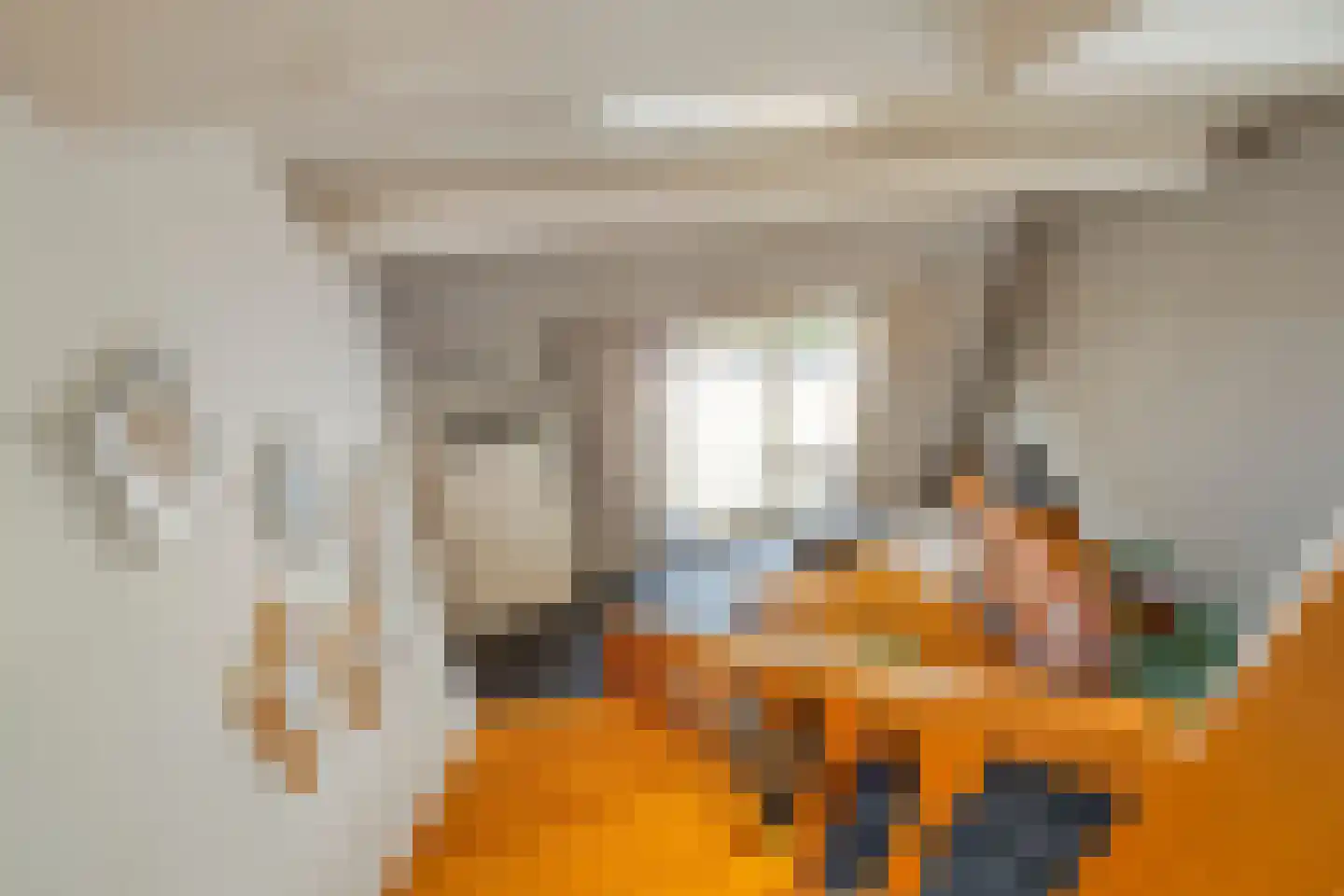 Dorpsstraat 20 Heel thumbnail 18