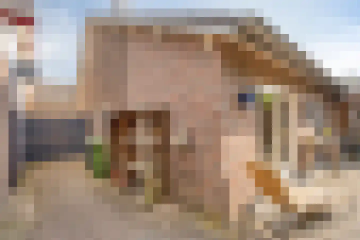 Dorpsstraat 20 Heel thumbnail 23