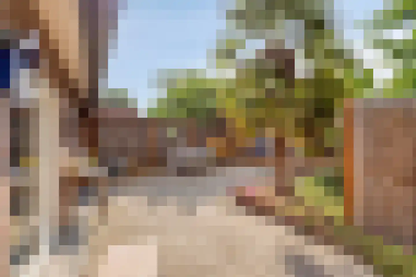 Dorpsstraat 20 Heel thumbnail 24