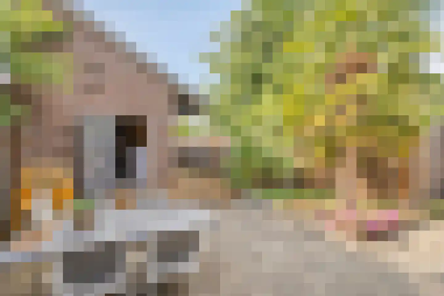 Dorpsstraat 20 Heel thumbnail 25