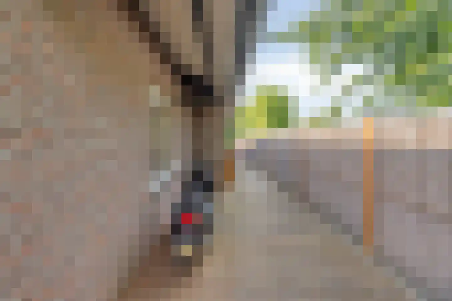 Dorpsstraat 20 Heel thumbnail 26