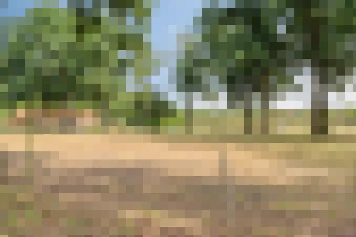 Dorpsstraat 20 Heel thumbnail 38