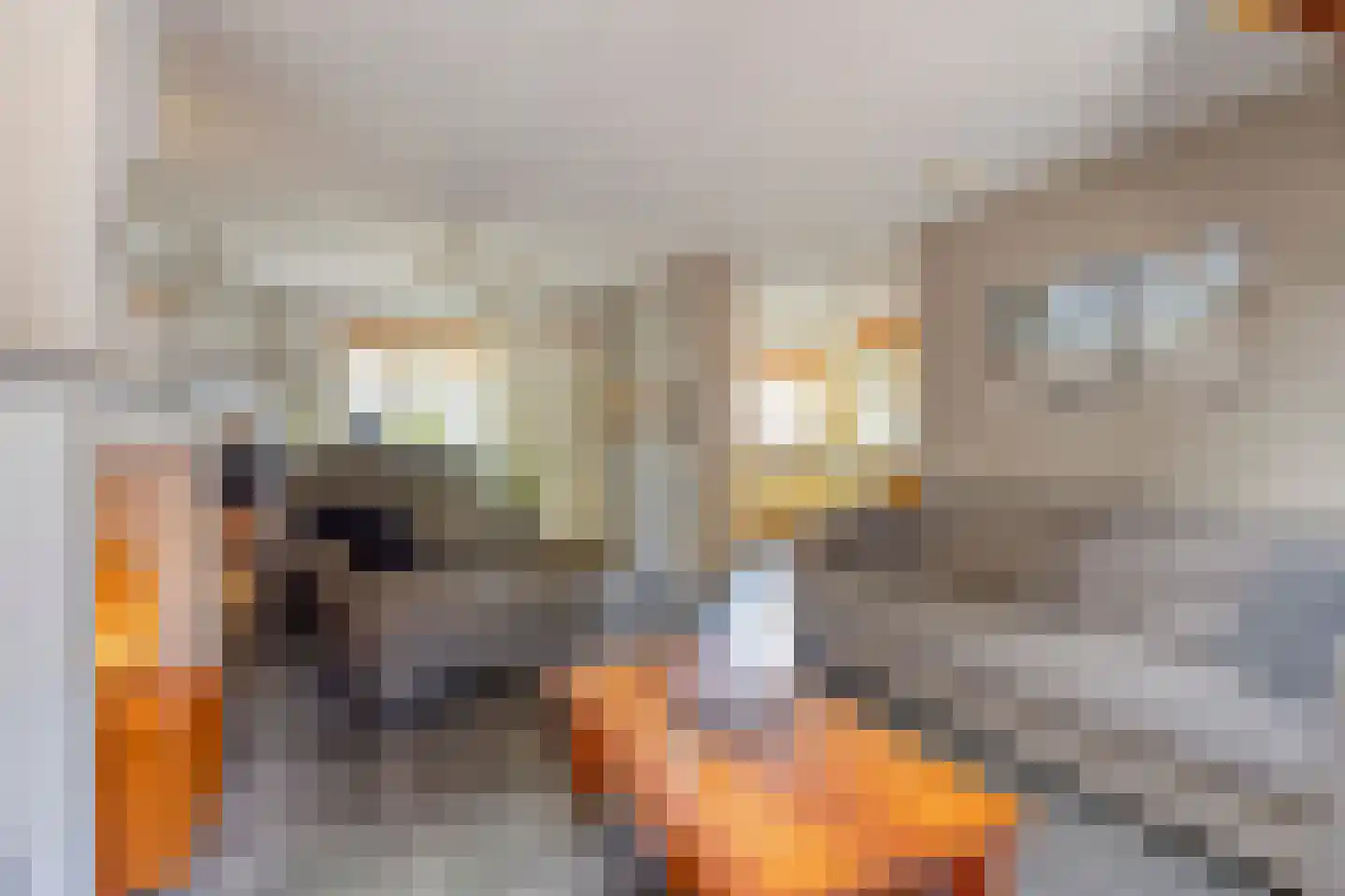 Dorpsstraat 20 Heel thumbnail 8