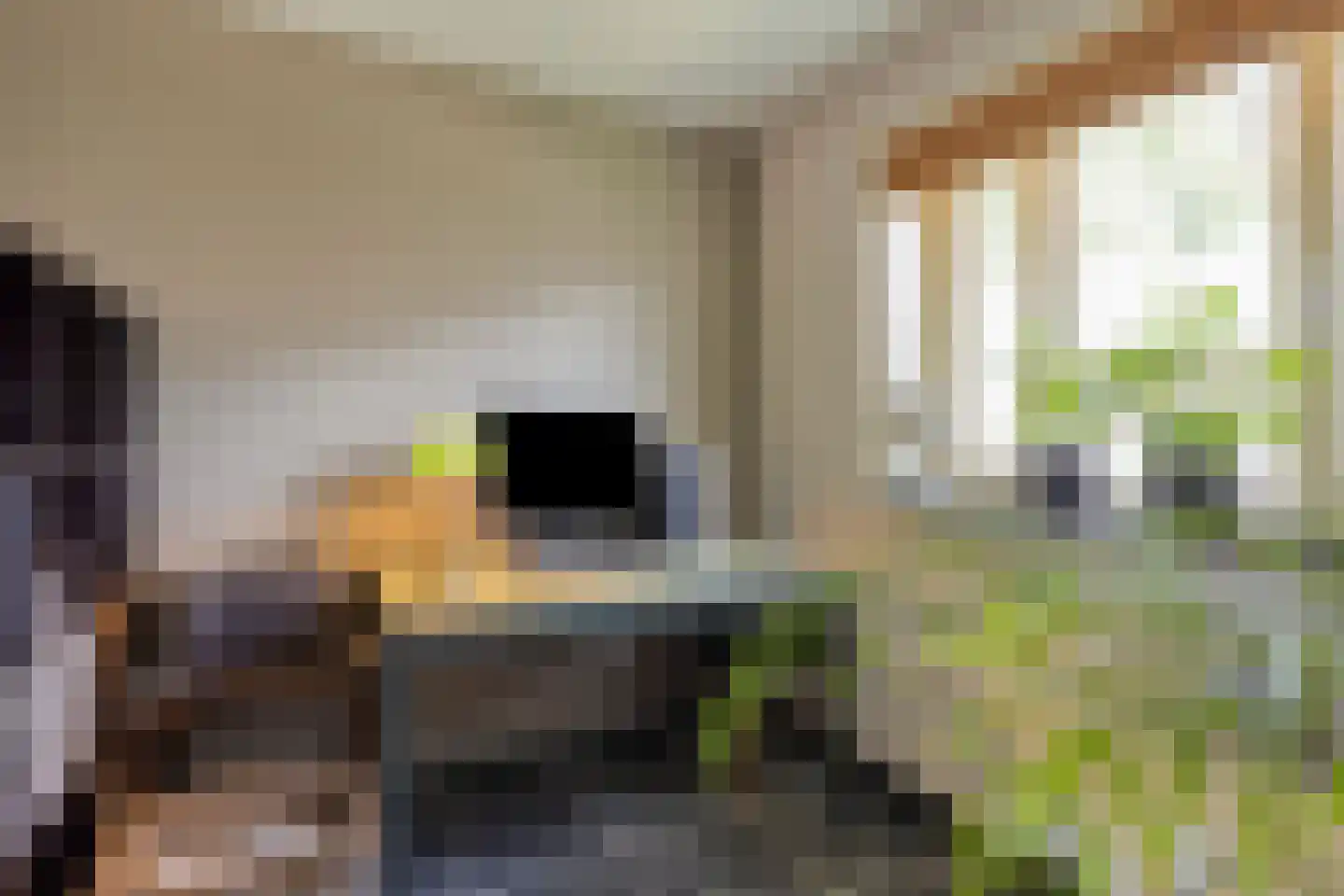 Dorpsstraat 20 Heel thumbnail 9