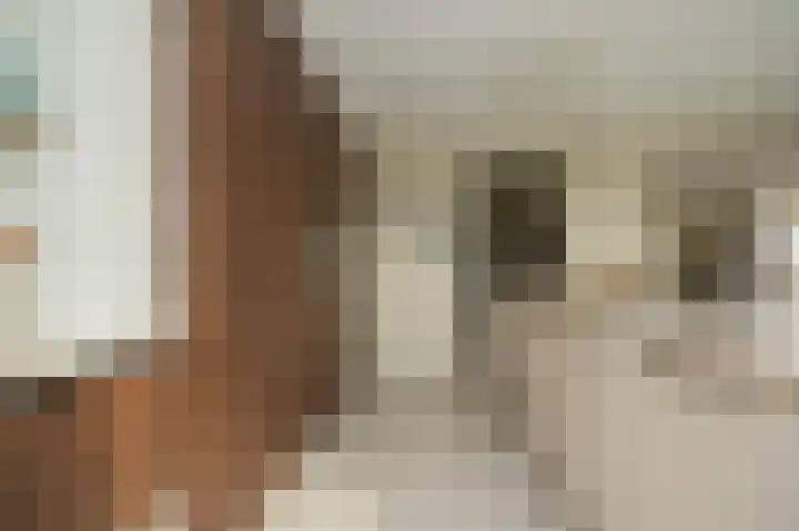 Dorpsstraat 20 Hurwenen thumbnail 11