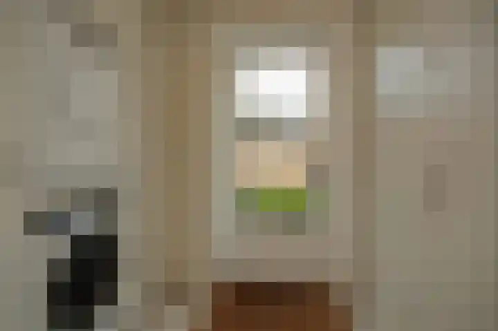 Dorpsstraat 20 Hurwenen thumbnail 12