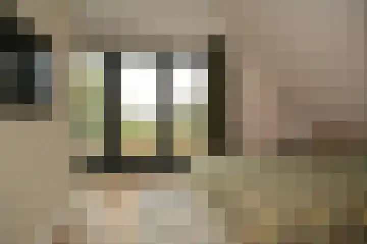 Dorpsstraat 20 Hurwenen thumbnail 19