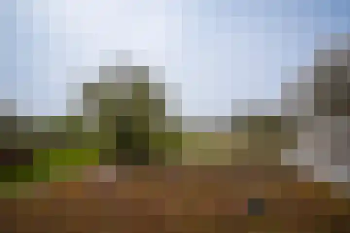 Dorpsstraat 20 Hurwenen thumbnail 21
