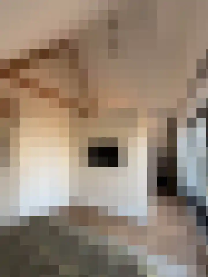 Dorpsstraat 20 Hurwenen thumbnail 22