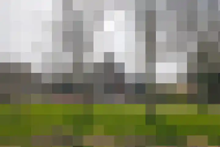 Dorpsstraat 20 Hurwenen thumbnail 33