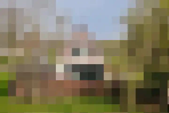 Dorpsstraat 20 Hurwenen thumbnail 39