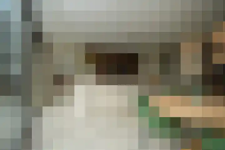 Dorpsstraat 20 Hurwenen thumbnail 4