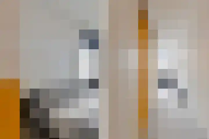 Dorpsstraat 20 Krabbendijke thumbnail 10