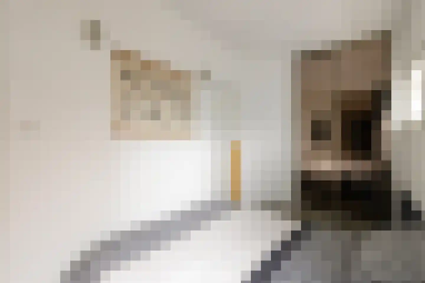 Dorpsstraat 20 Krabbendijke thumbnail 12