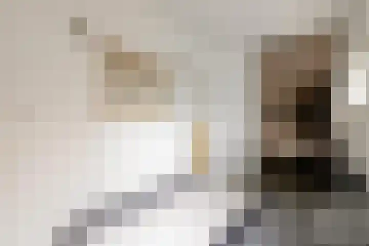 Dorpsstraat 20 Krabbendijke thumbnail 12