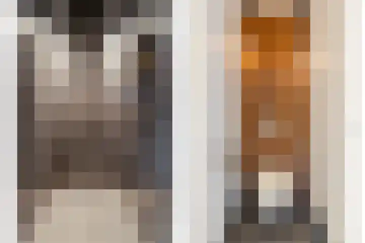 Dorpsstraat 20 Krabbendijke thumbnail 15